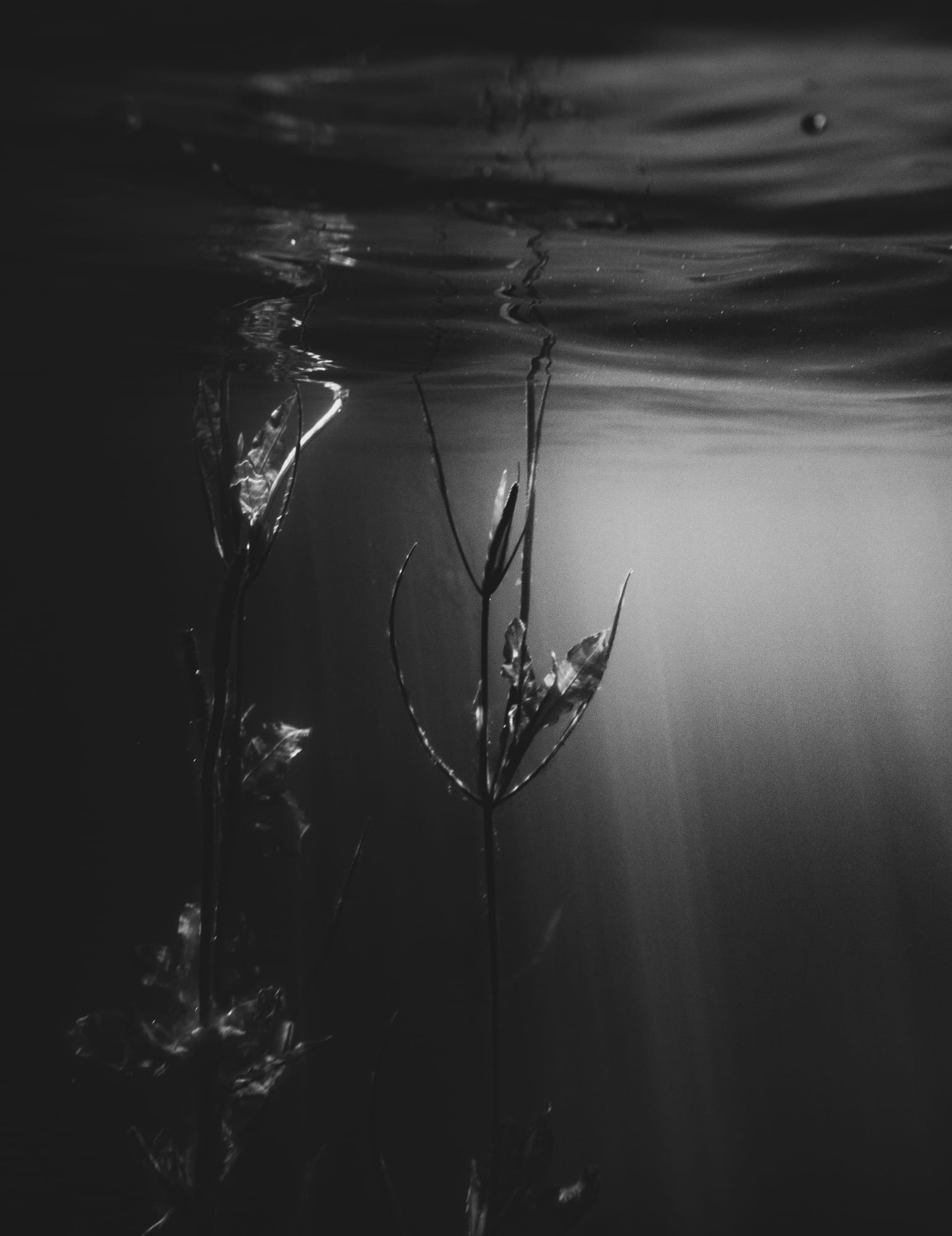 UNDER THE SURFACE